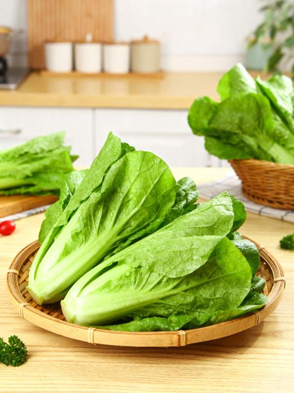 新鲜生菜 厨房绿意图片