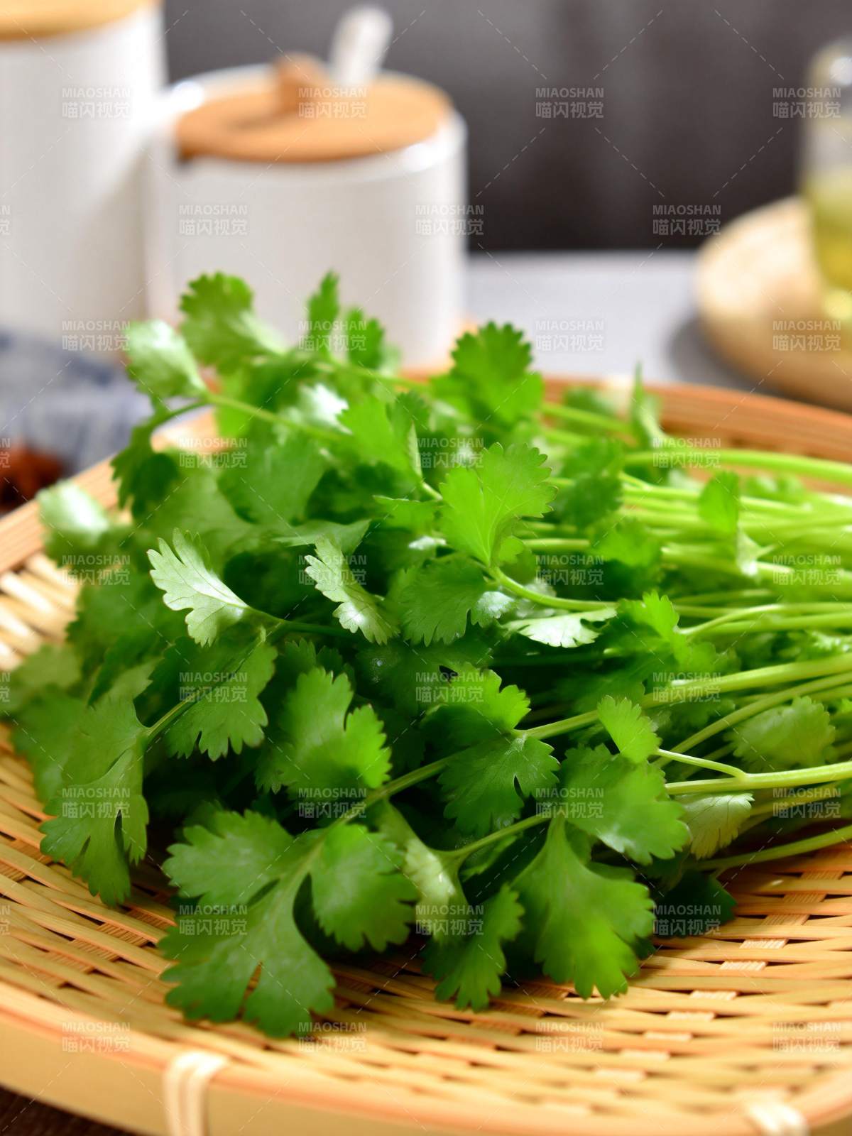 新鲜香菜特写图片