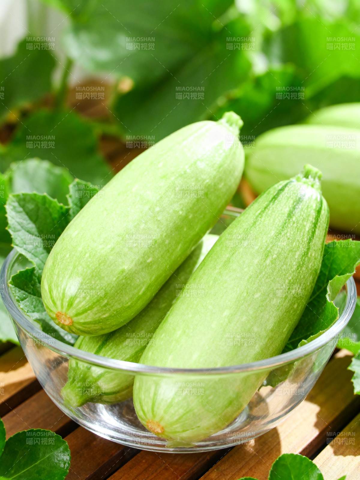新鲜黄瓜静物图图片