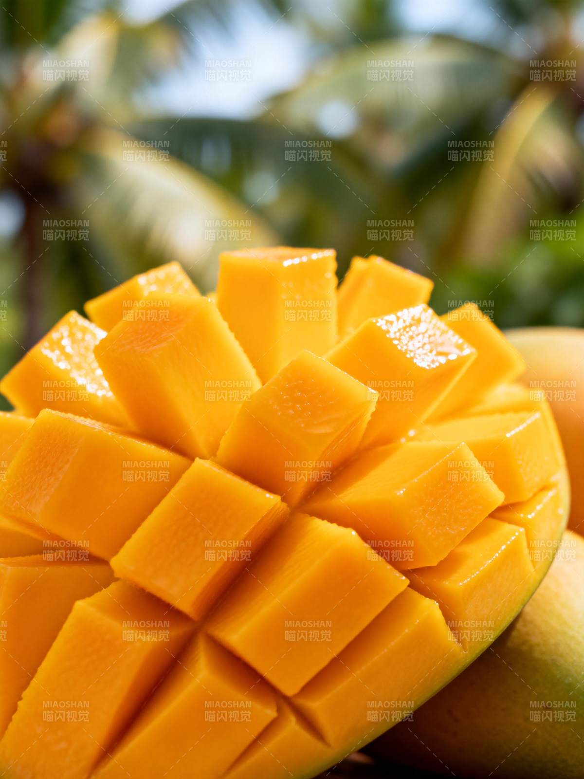 芒果切块 热带风情图片