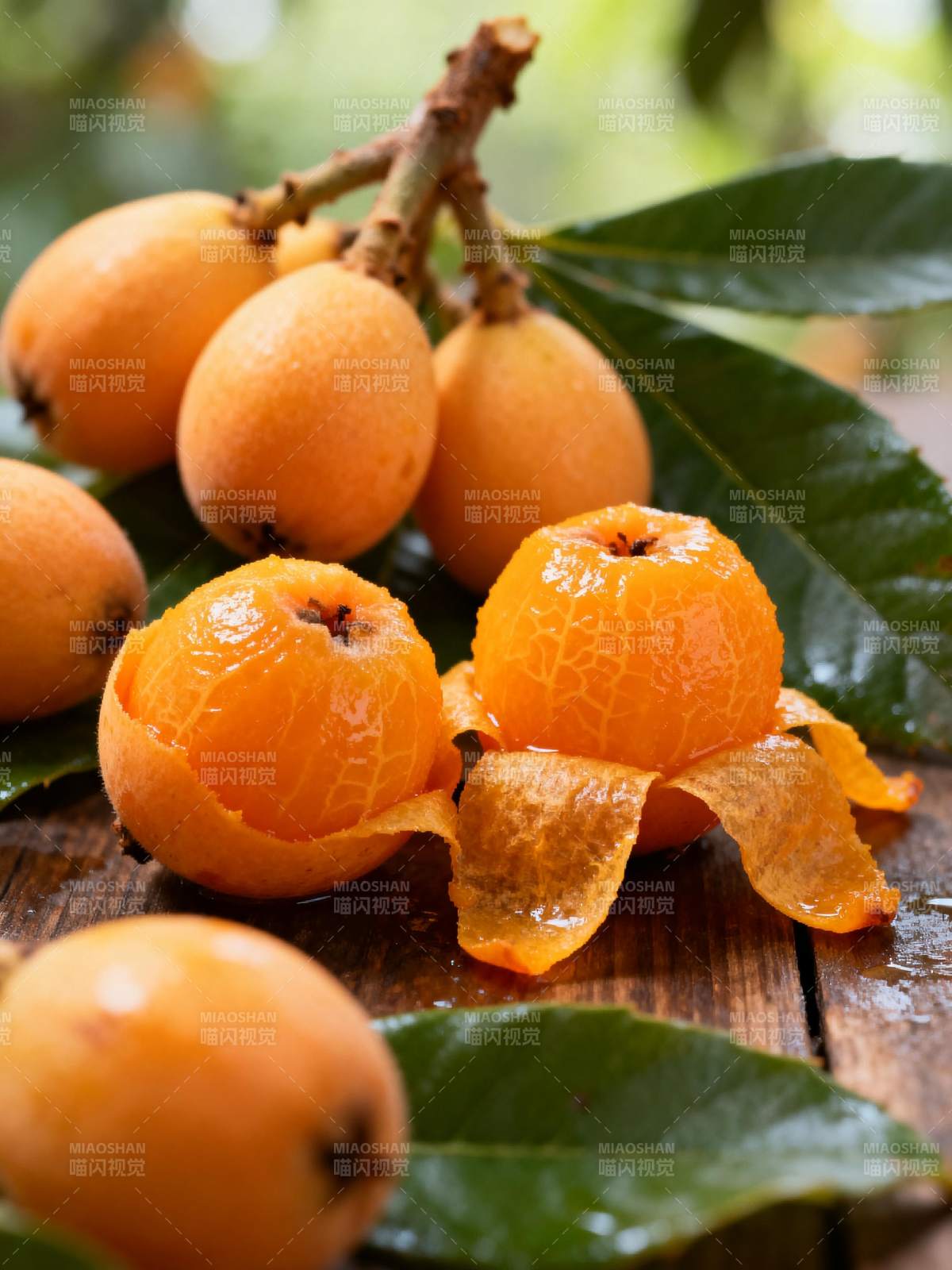 枇杷果熟了图片