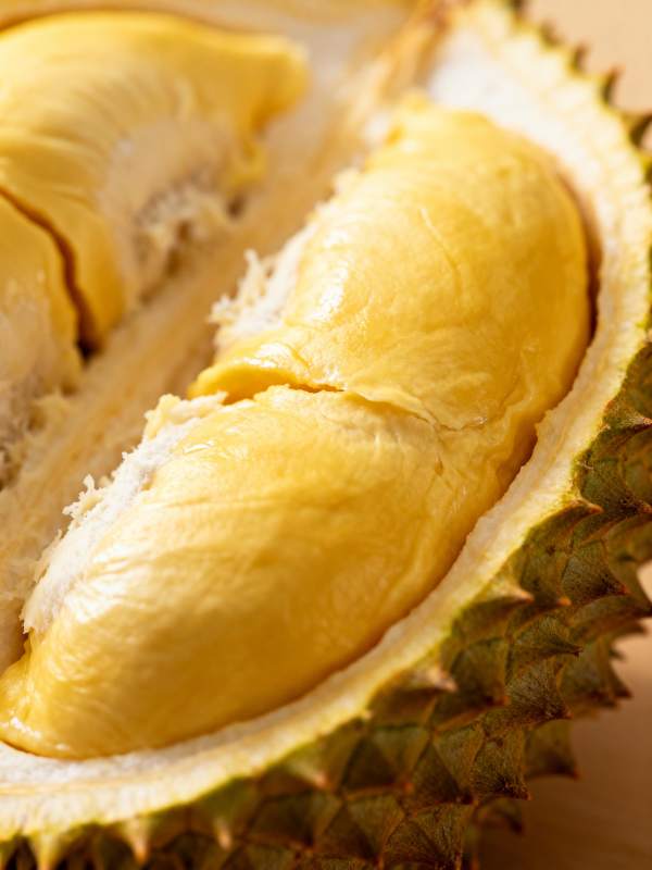 榴莲果肉特写图片