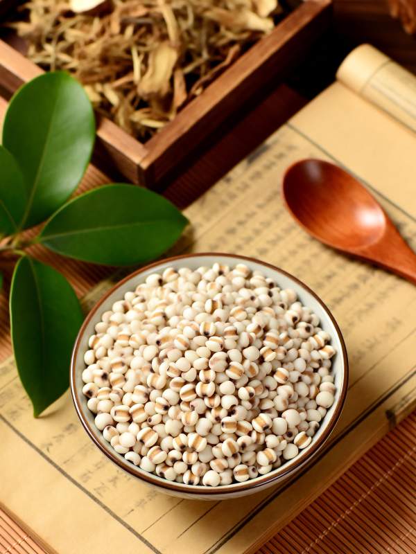 薏仁养生图图片