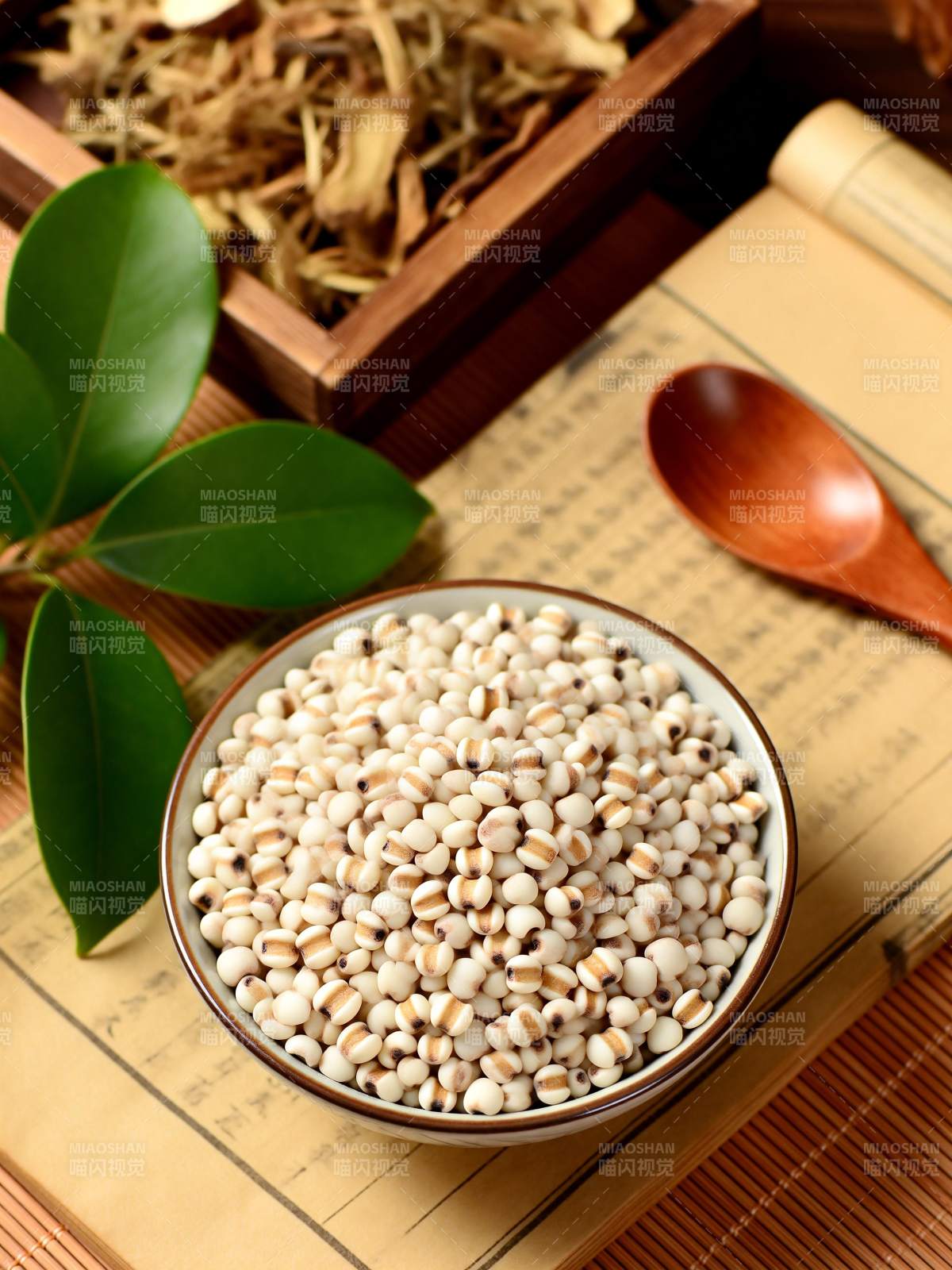 薏仁养生图图片