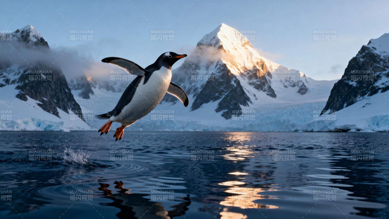 企鹅跃水雪山映图片