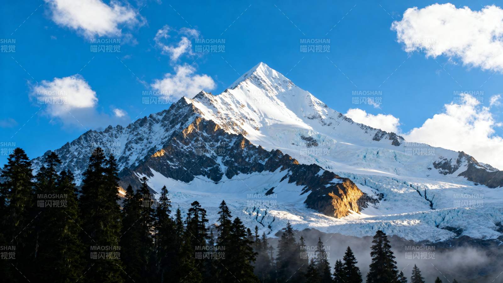 雪山巍峨 松林静谧图片