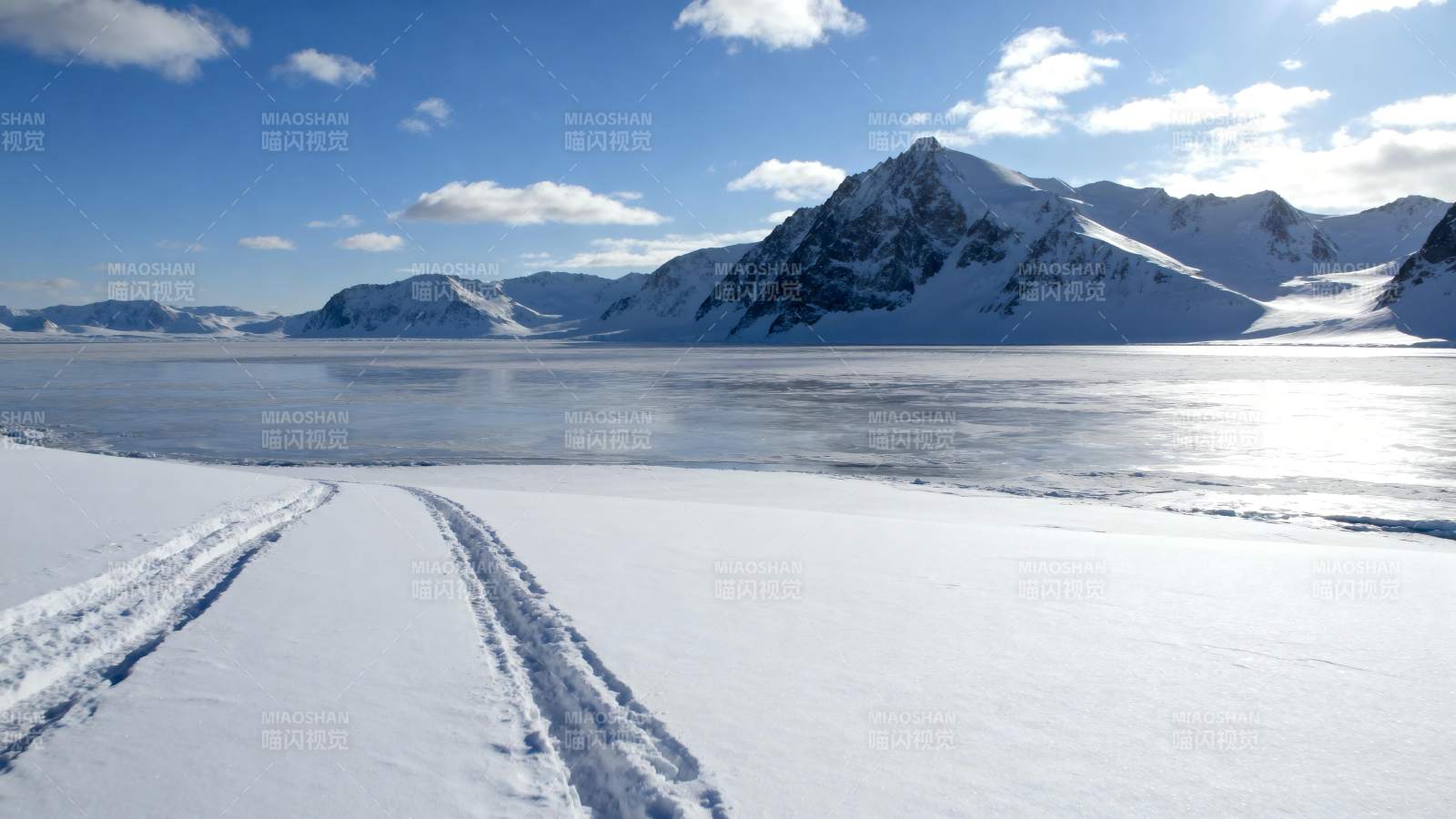 雪原上的足迹图片