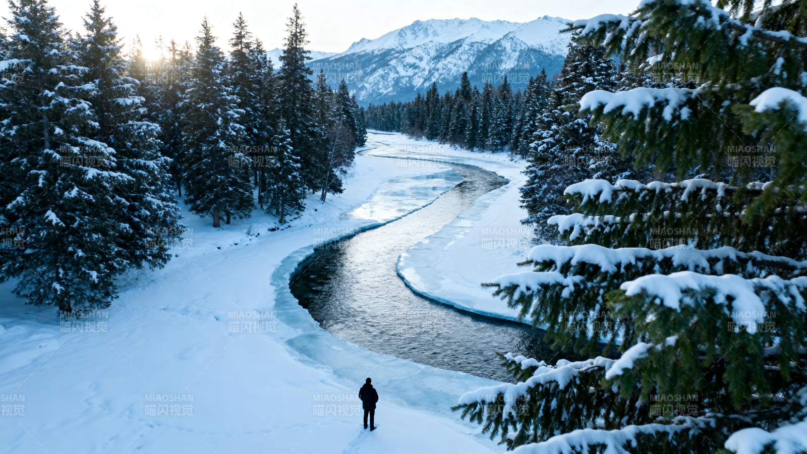 雪原孤影行图片
