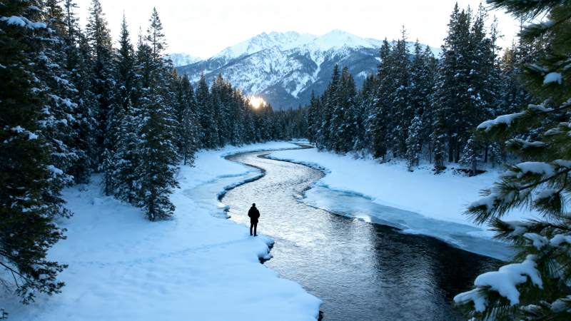 雪域溪流行者图片