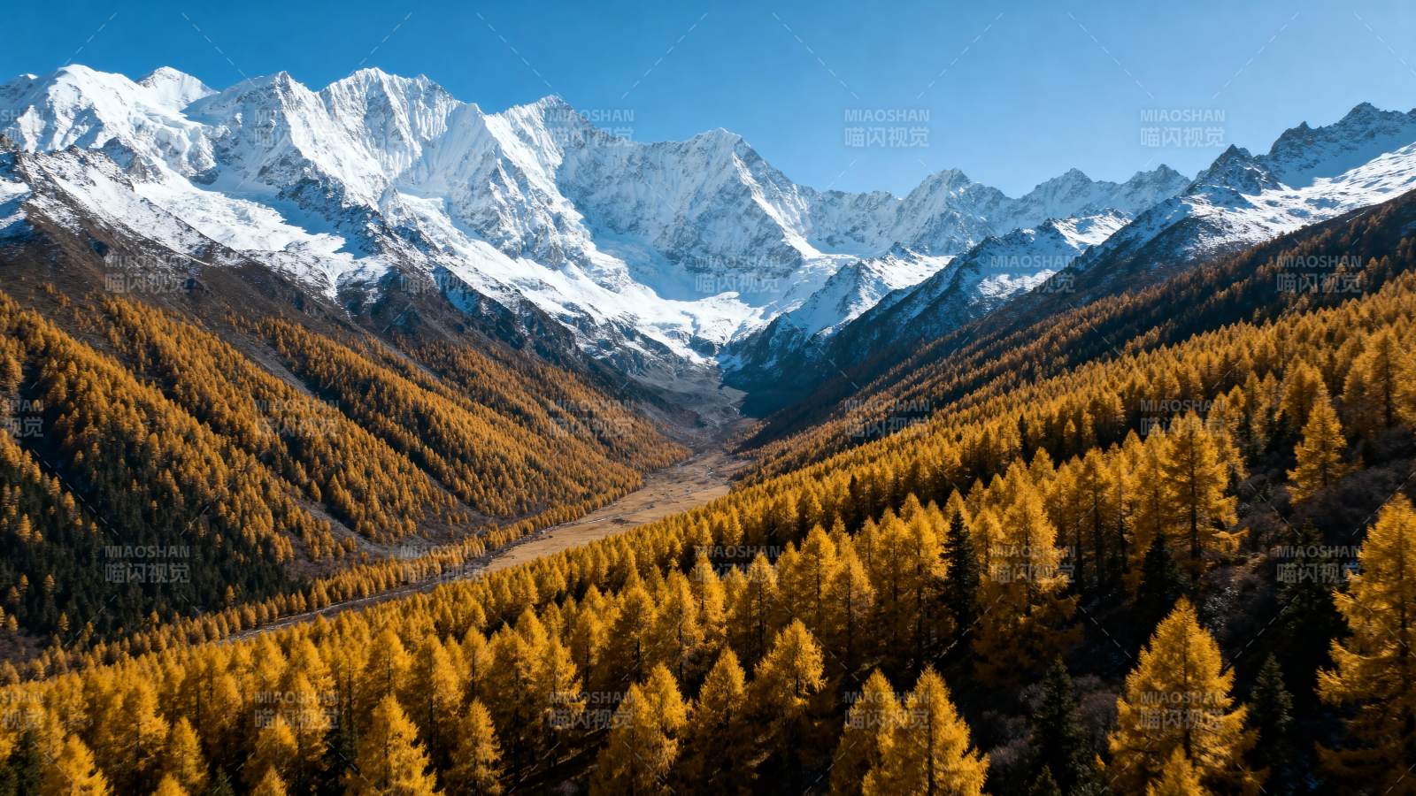 雪山金林秋景图片