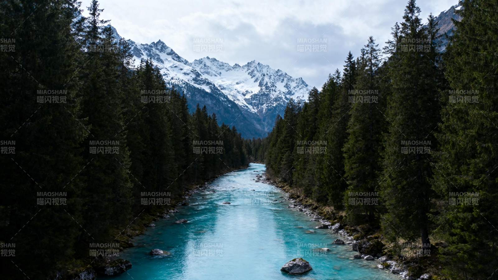 雪山碧溪林间行图片