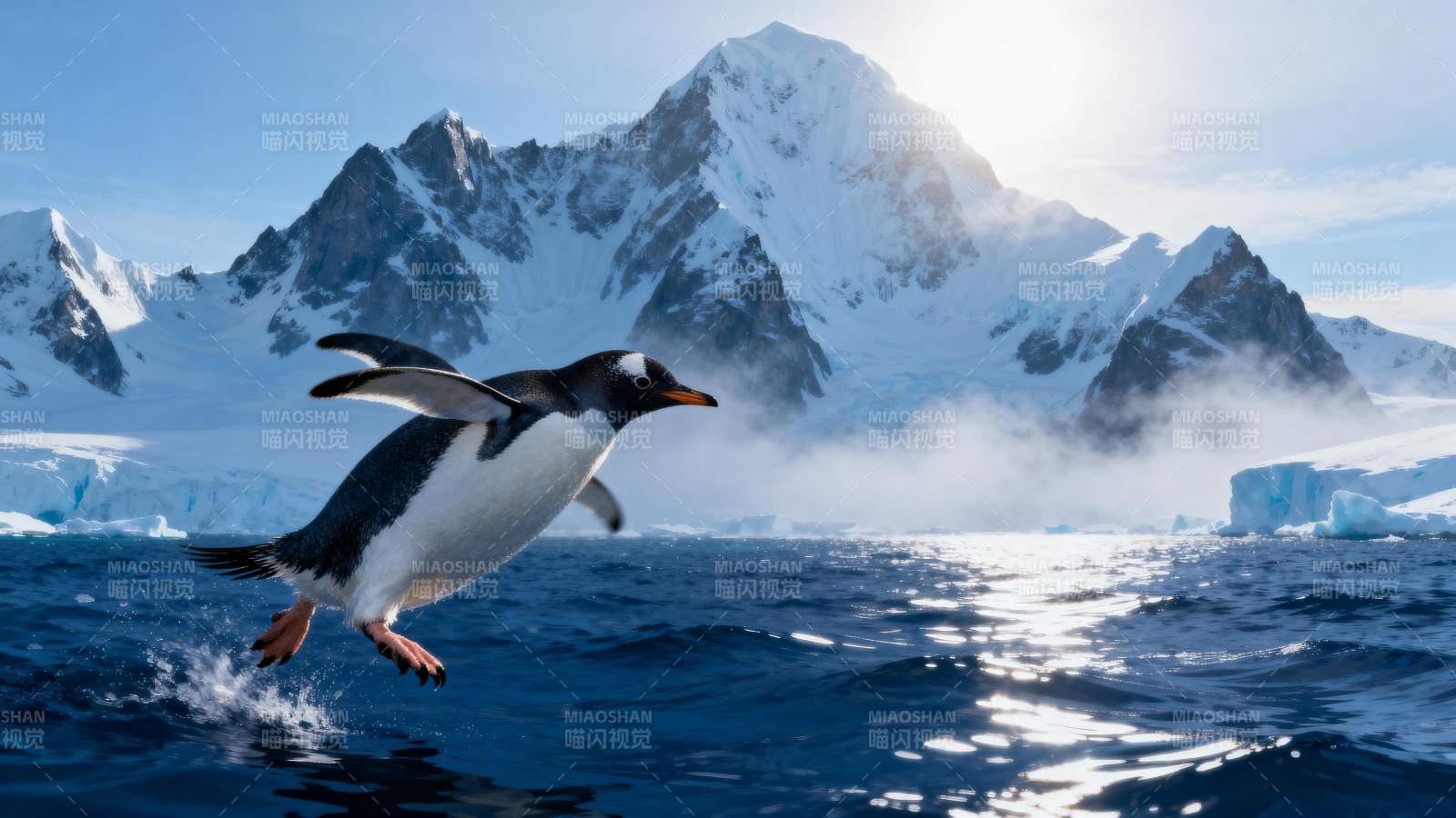 企鹅跃海 雪山为伴图片