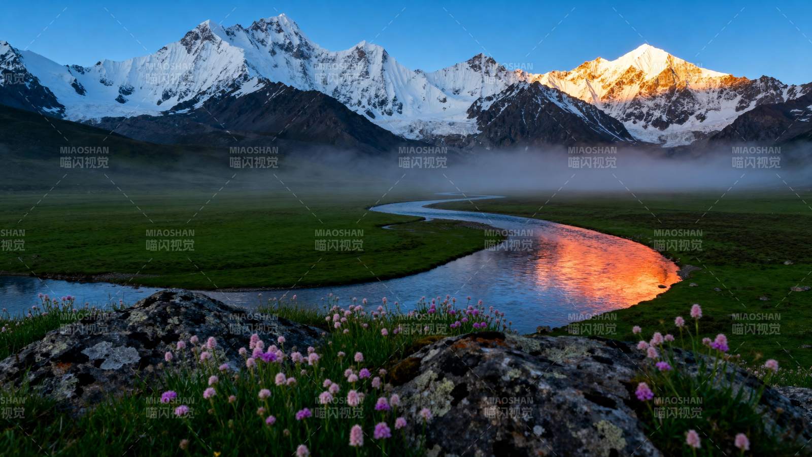 雪山映霞 溪流花海图片