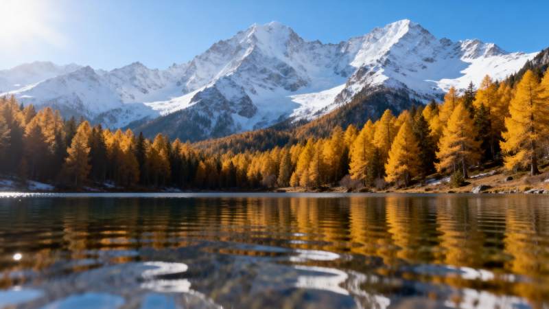 秋湖映雪山图片