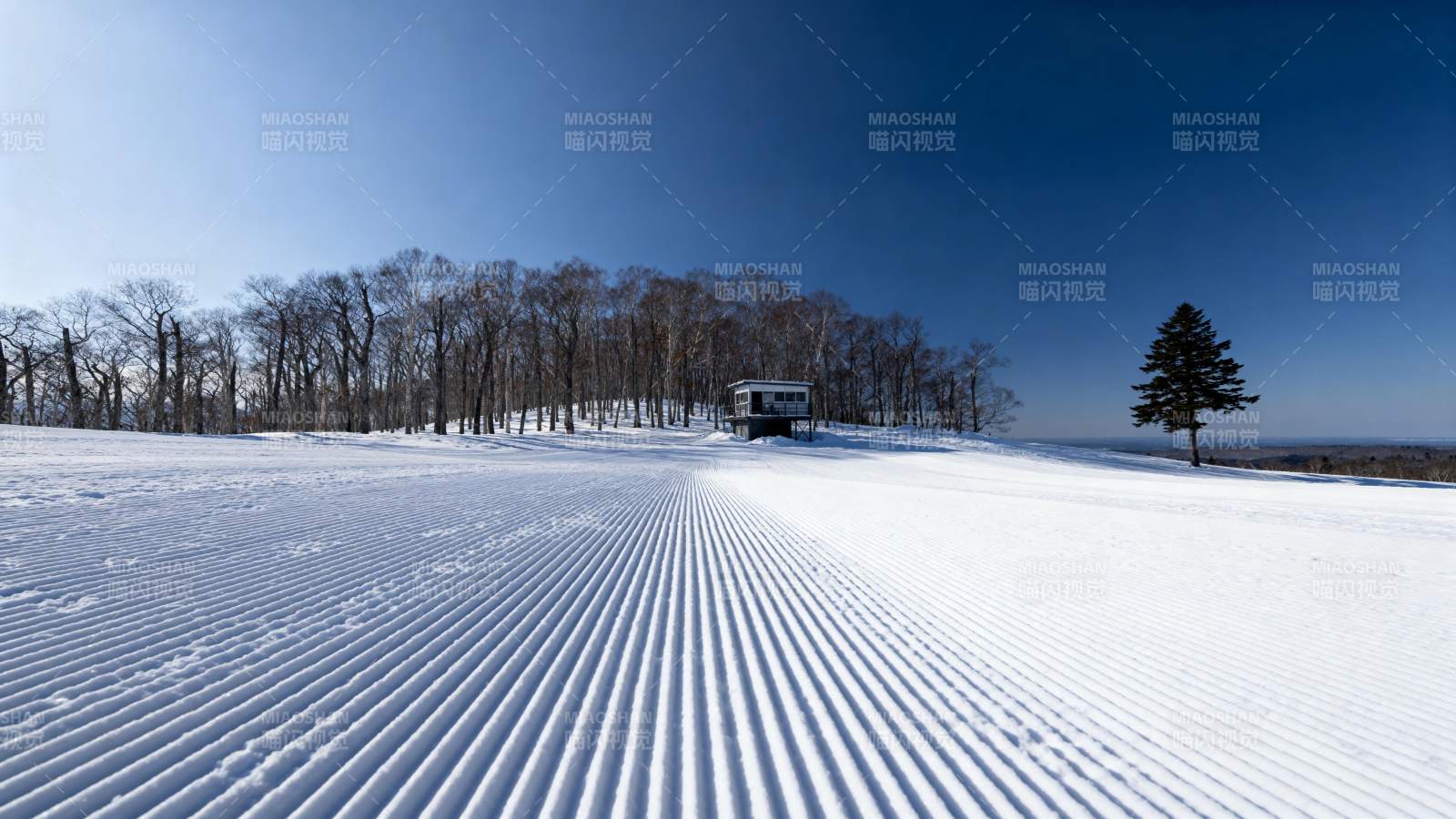 雪地压痕 静谧冬景图片