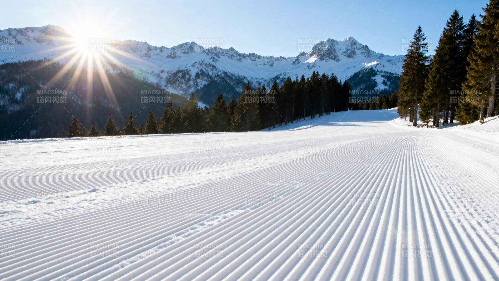 雪道晨光 山林静谧图片