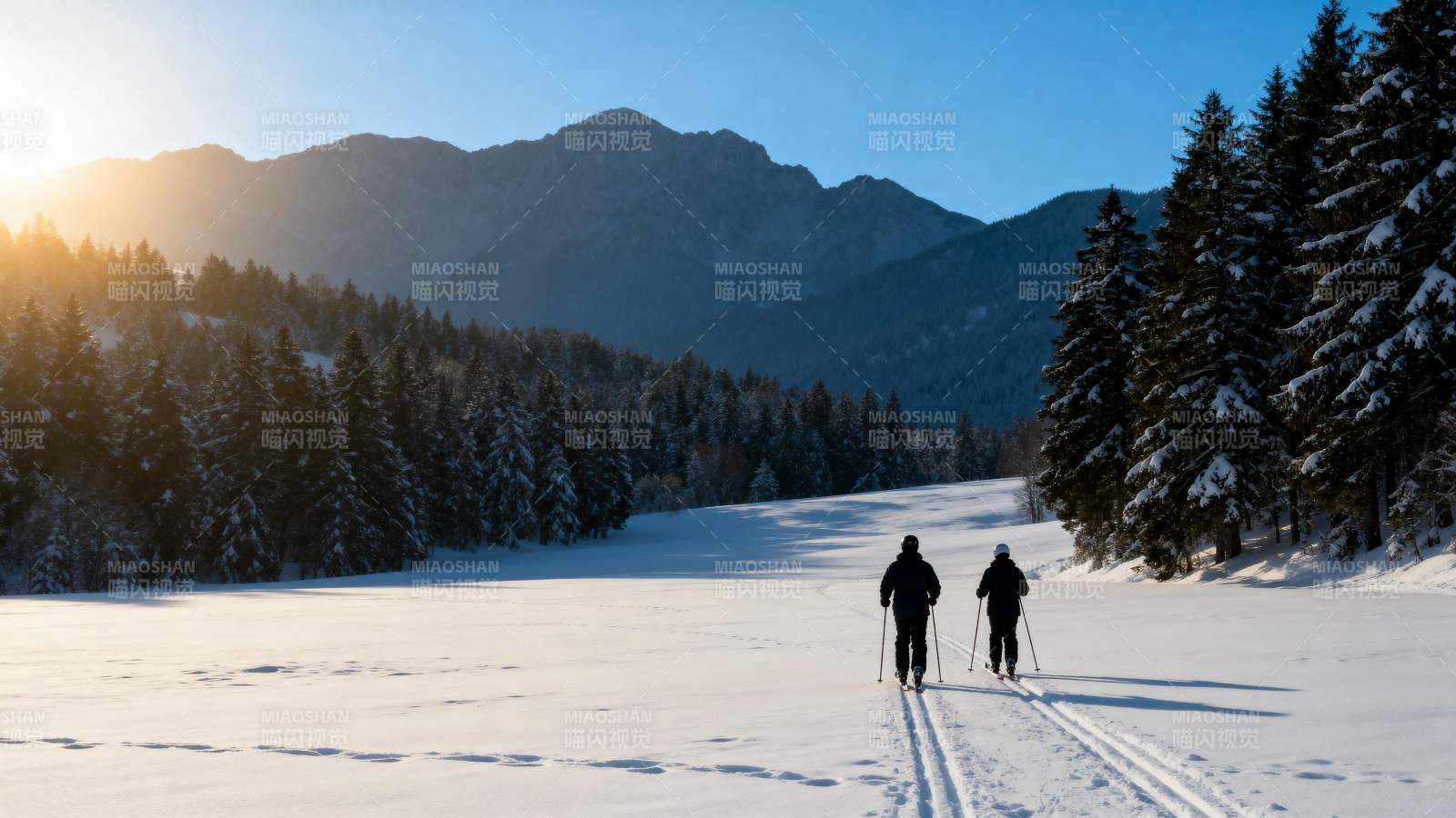 雪原滑雪行图片