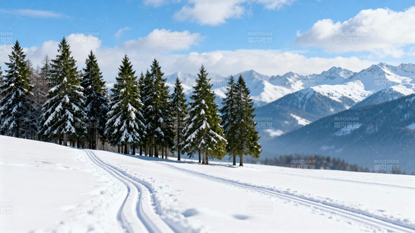 雪原松林山景图片