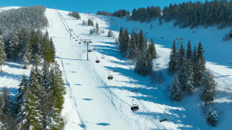 雪岭缆车穿梭林间图片