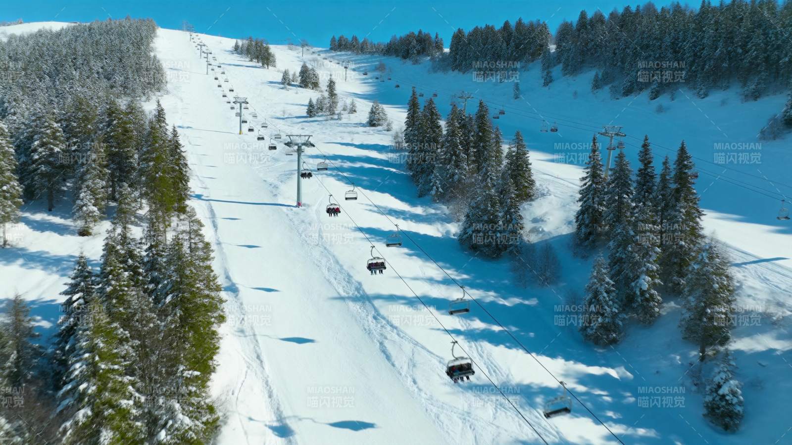雪岭缆车穿梭林间图片