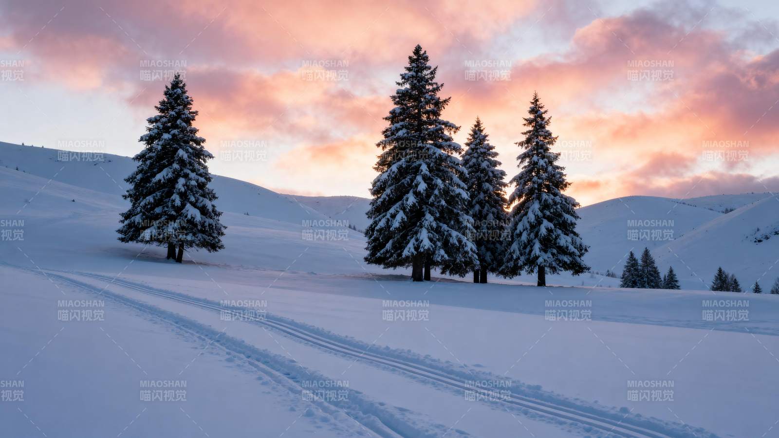 雪原松林日落图片