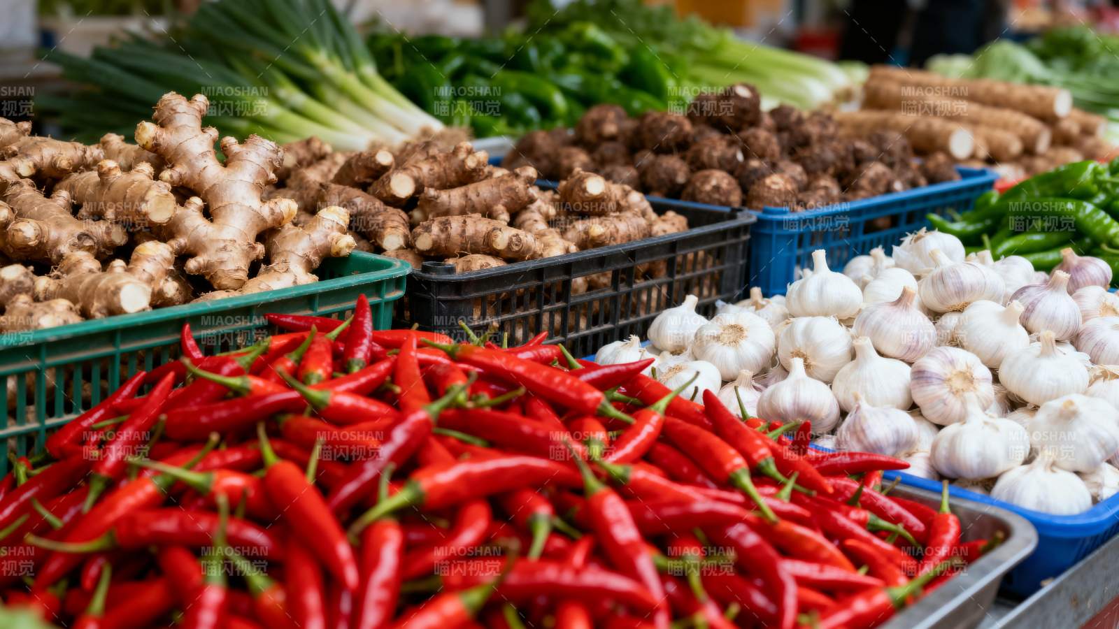 新鲜蔬菜摊位图片