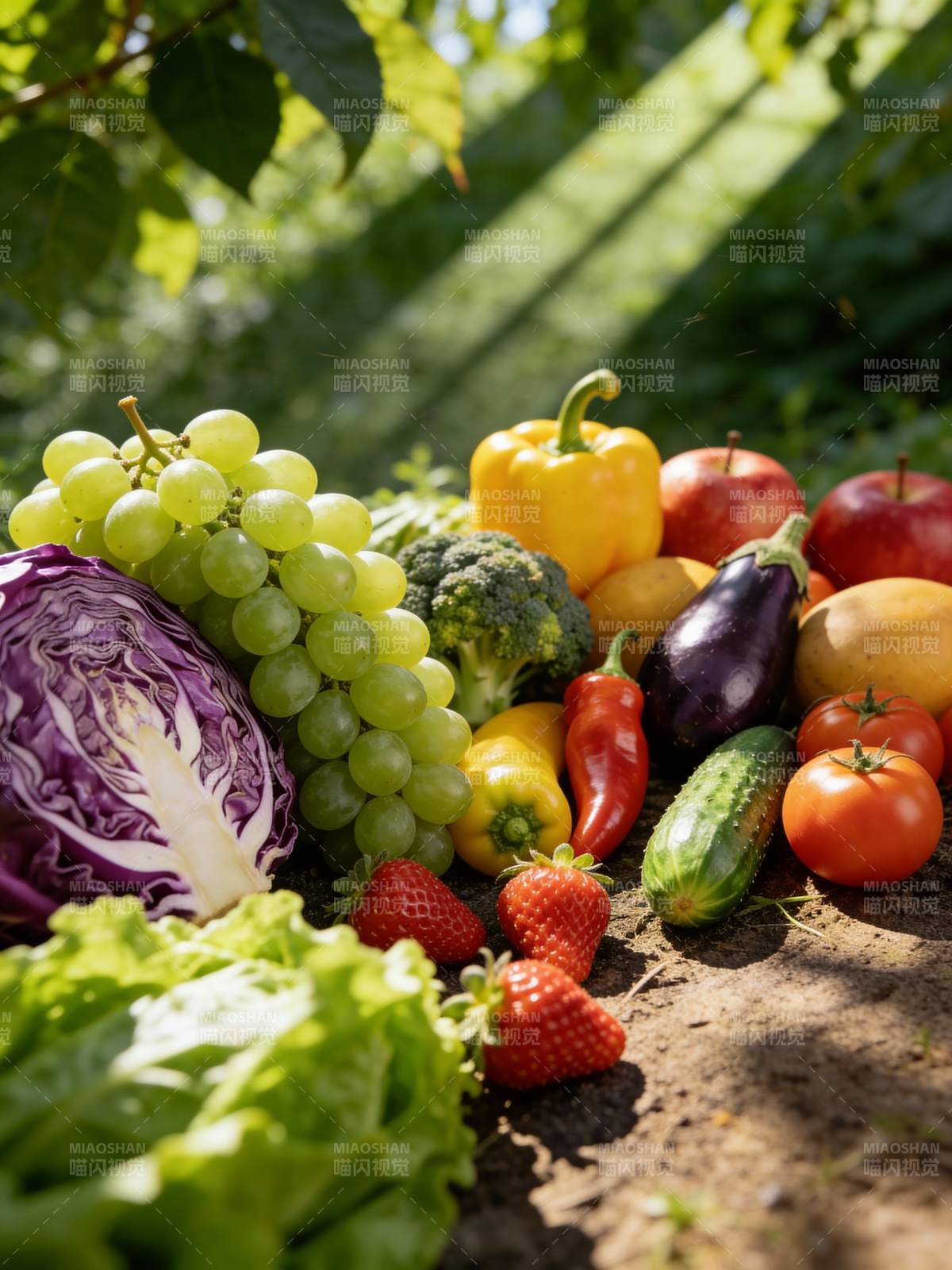 新鲜蔬果田园采撷图片