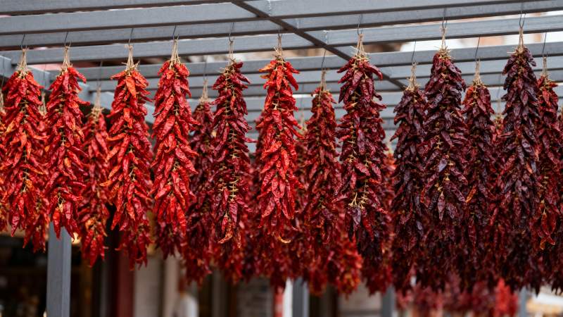 红辣椒串挂晒图片