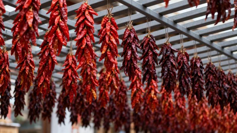 红辣椒串挂晒图片