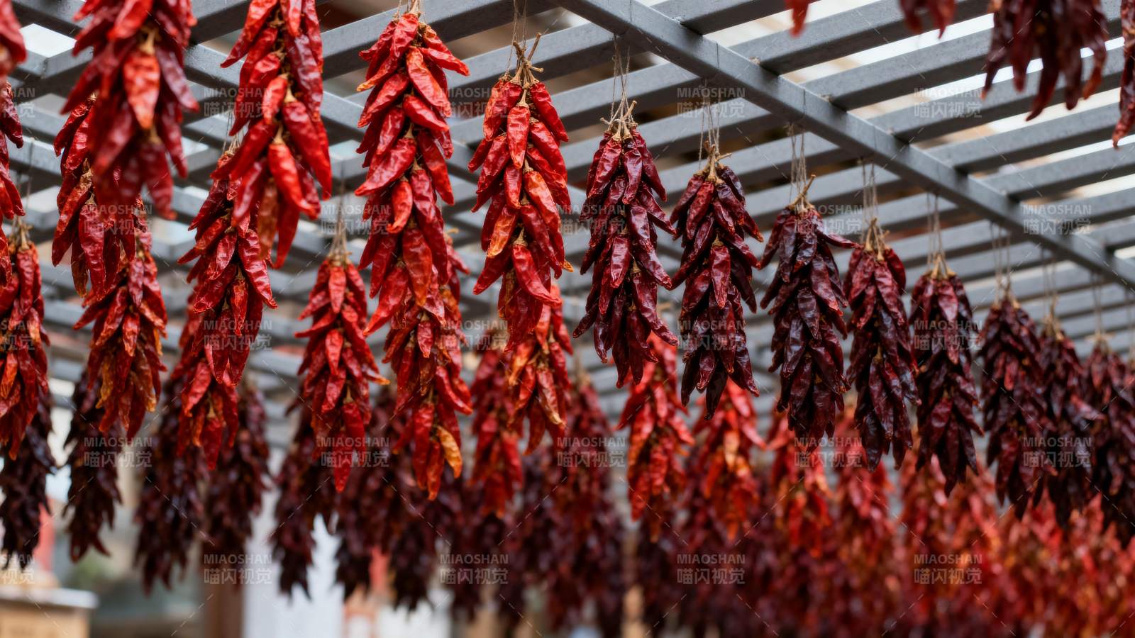 红辣椒串挂晒图片