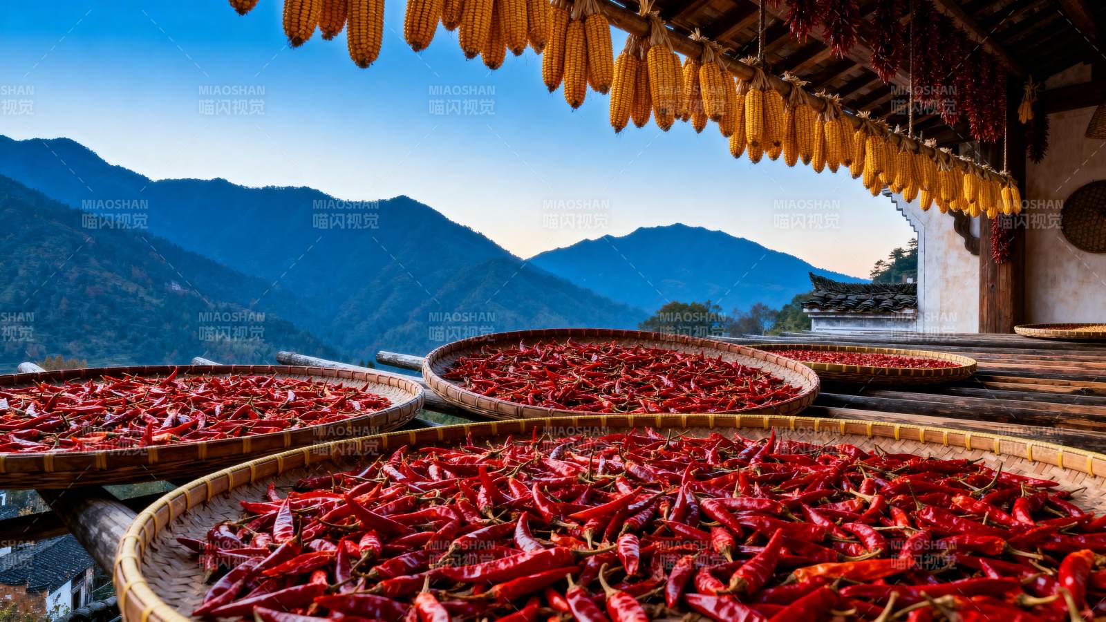 辣椒晒秋图图片
