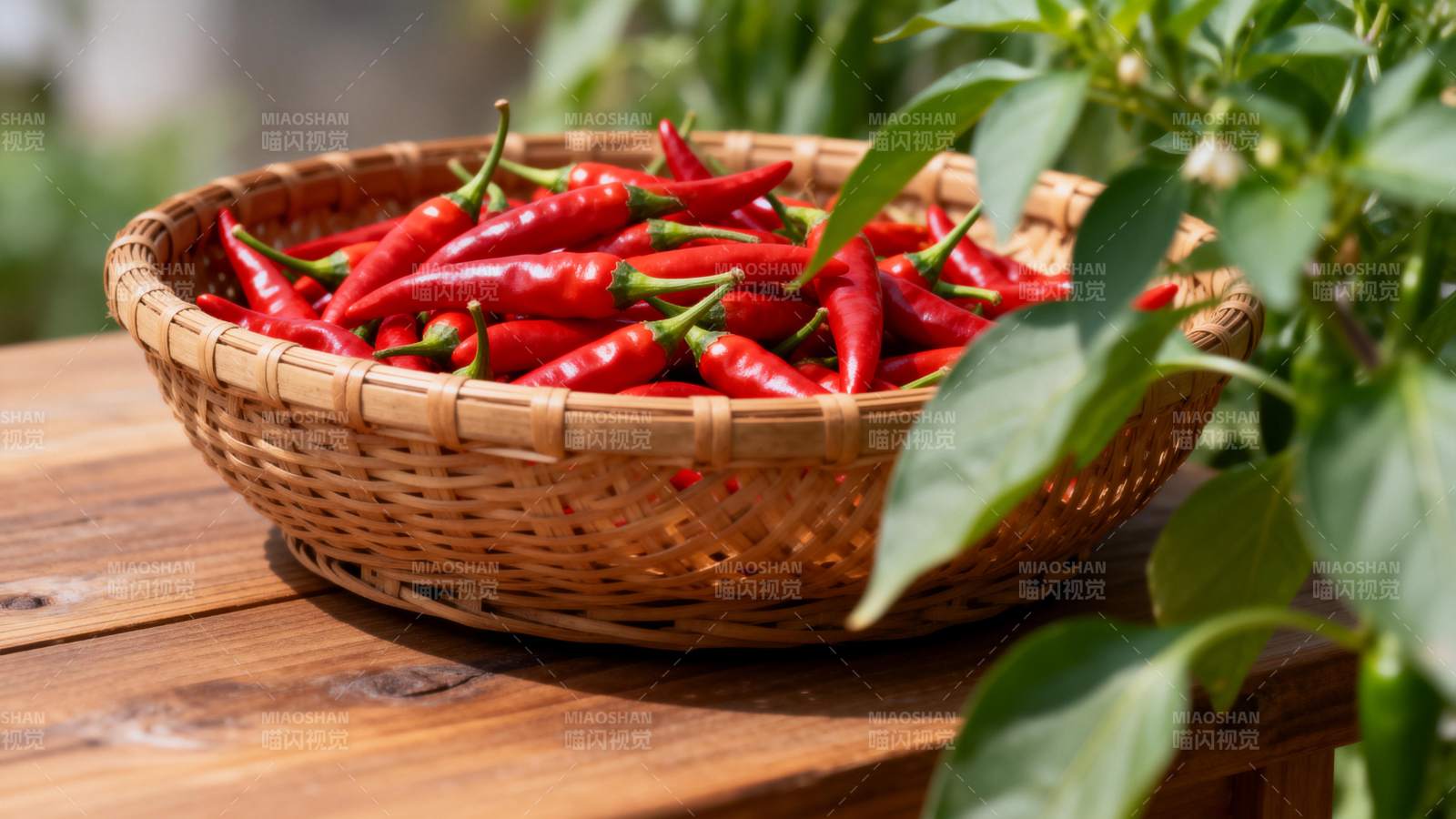红椒满篮 绿叶相伴图片
