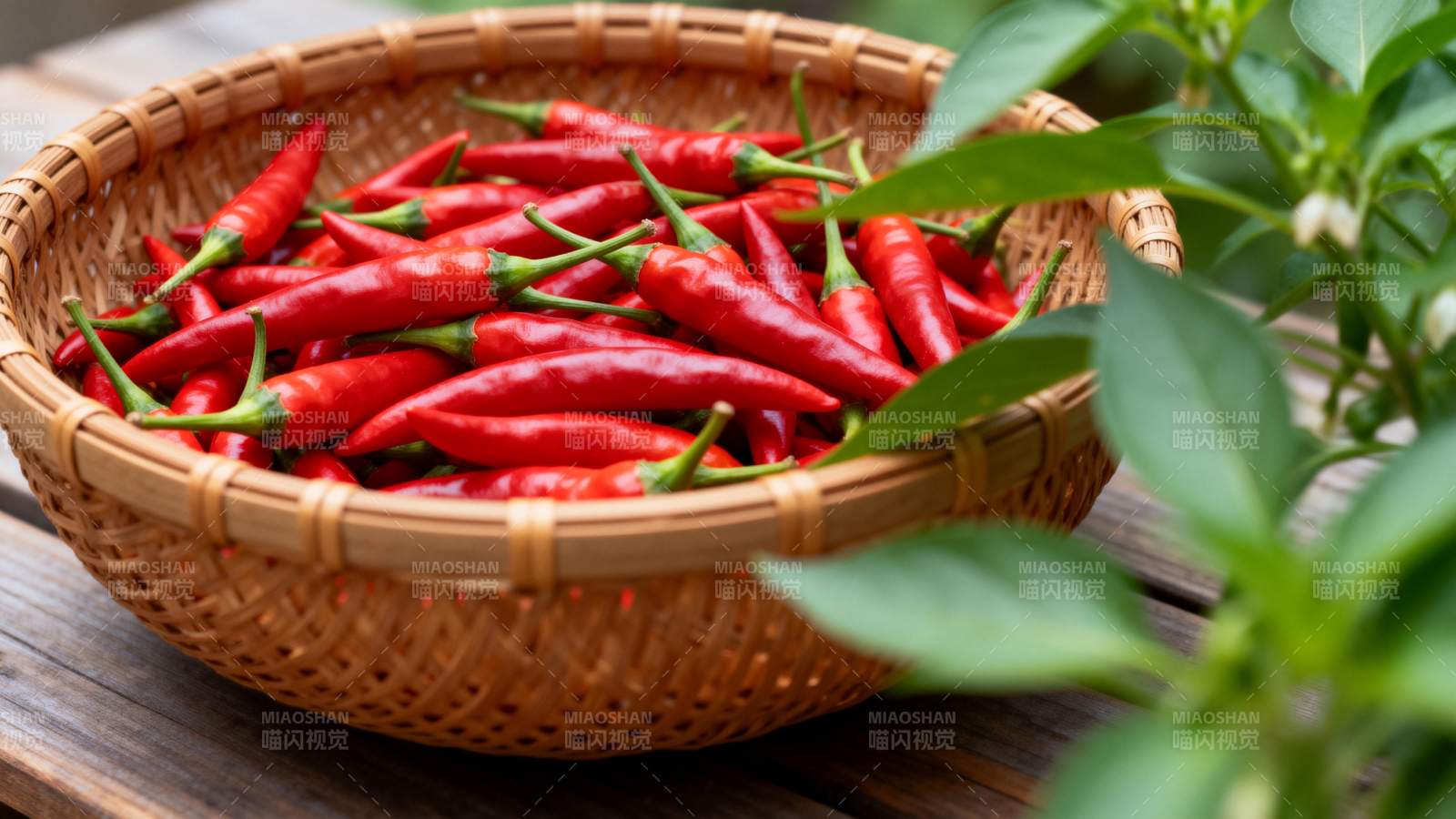 红椒满篮 绿叶相伴图片