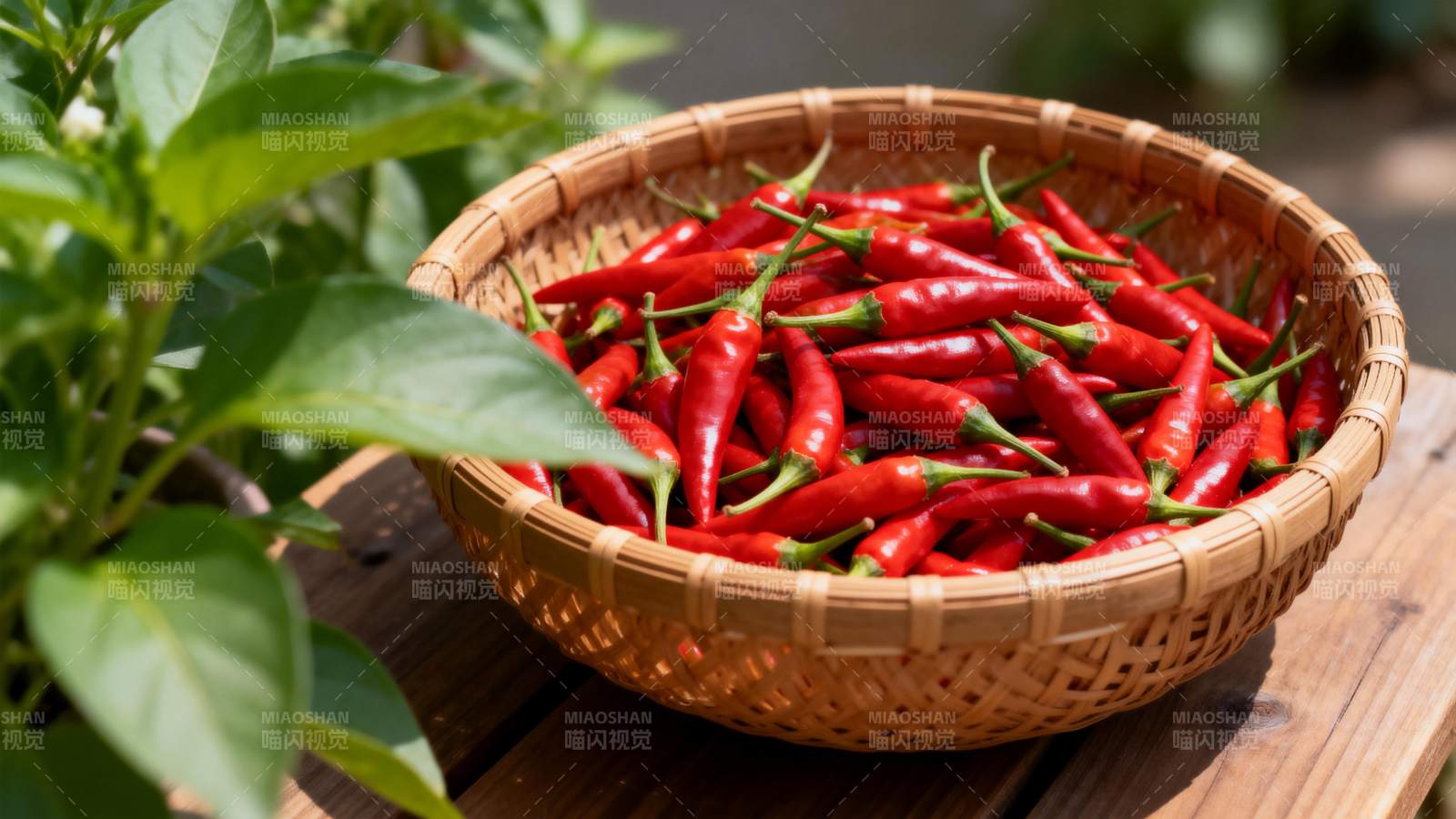 红辣椒满篮图片