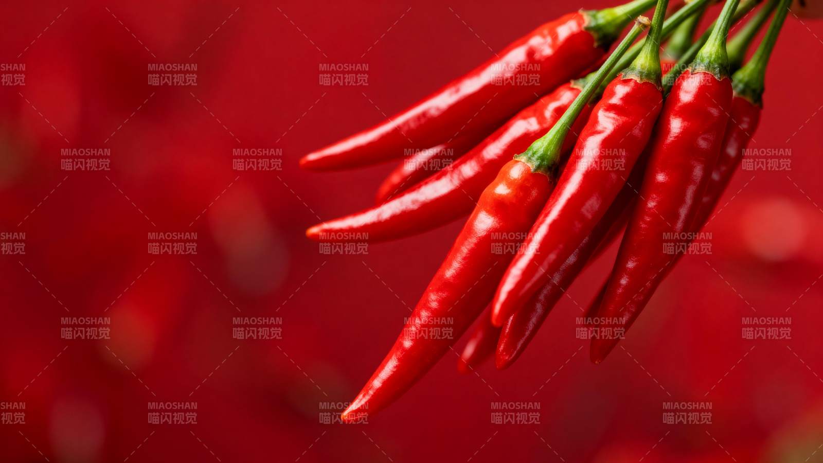 红椒挂枝头图片