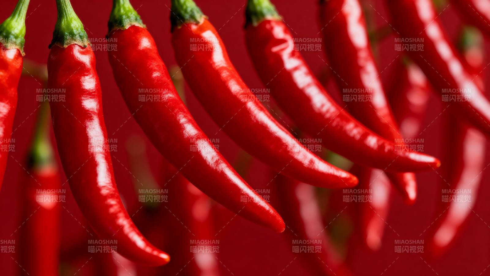 红辣椒串挂枝头图片
