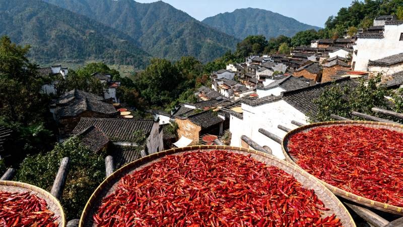 山村晒辣椒图片