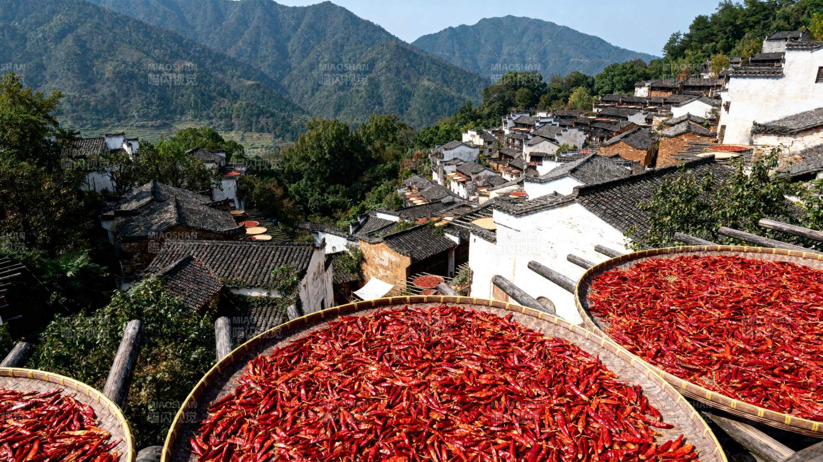 山村晒辣椒图片