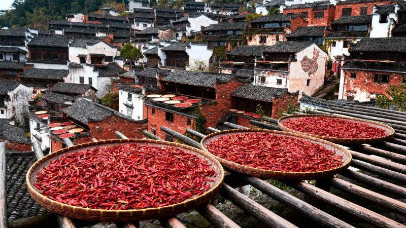 晒辣椒的古村落图片