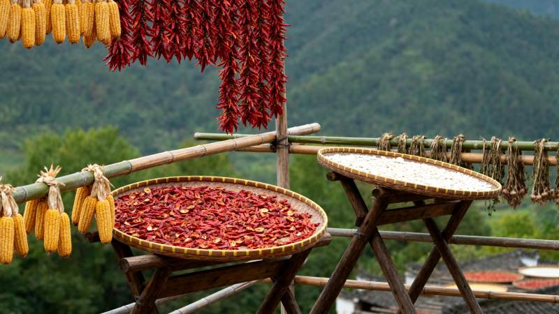 晒秋丰收图图片