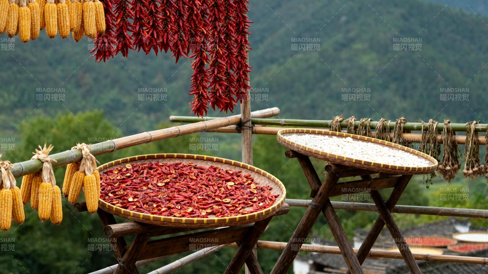 晒秋丰收图图片