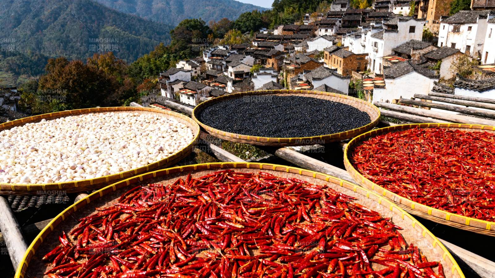 晒秋丰收图图片