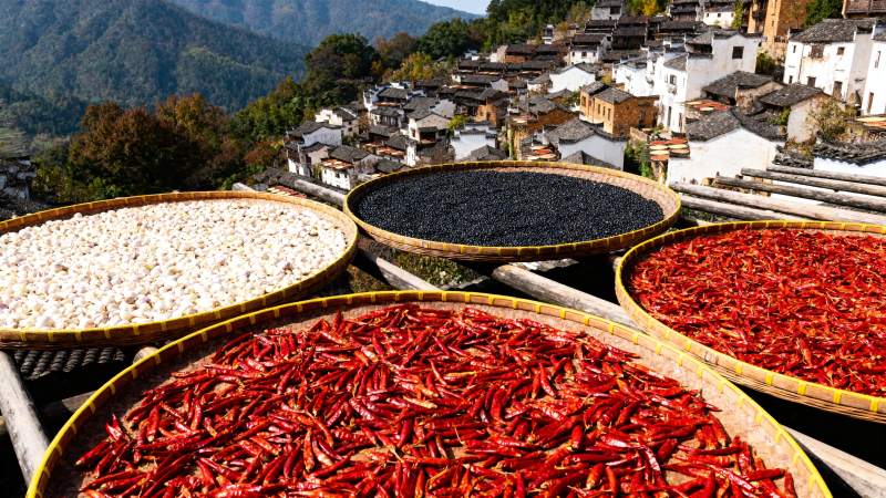 晒秋丰收图图片