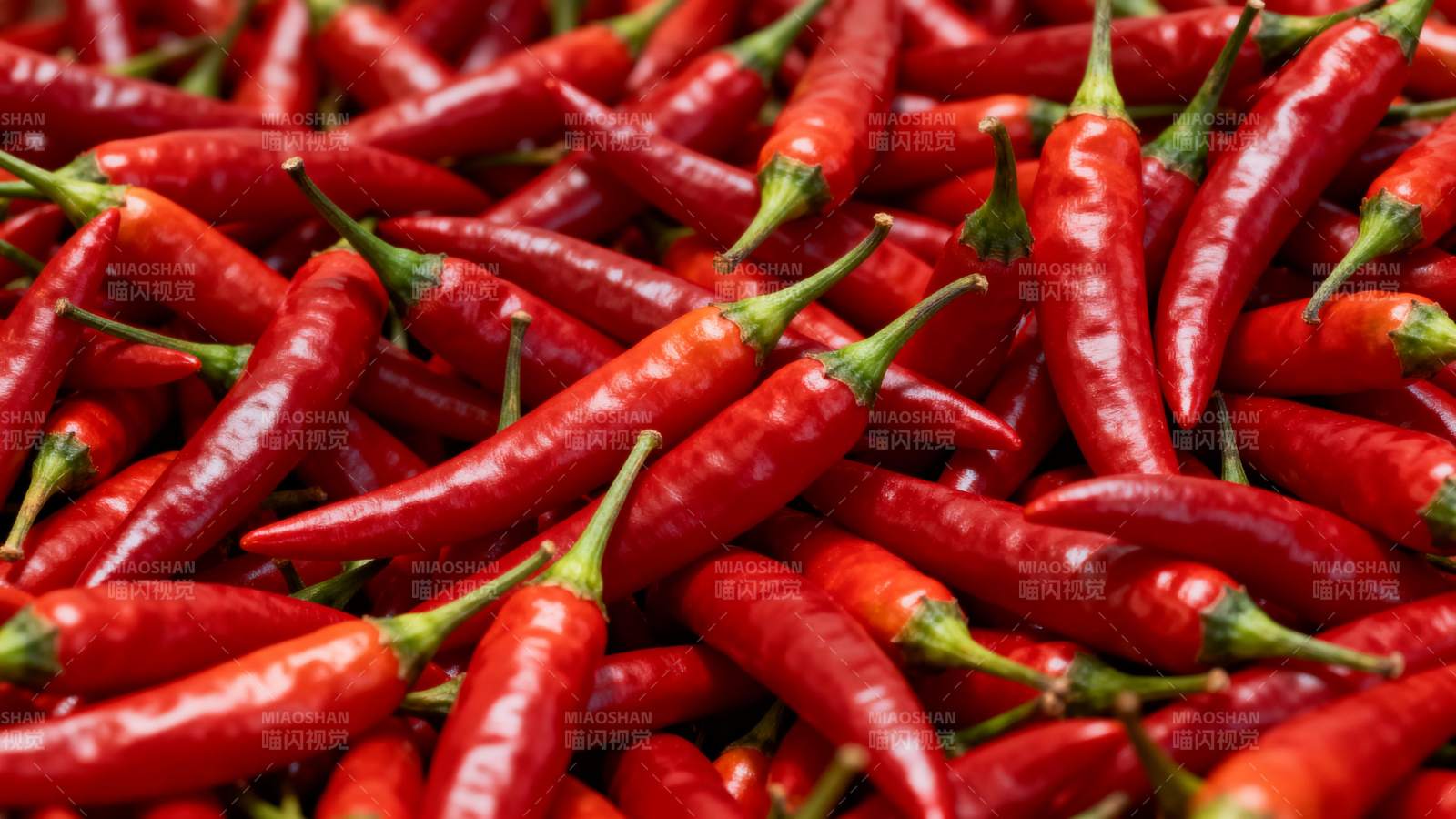 红辣椒堆满画面图片