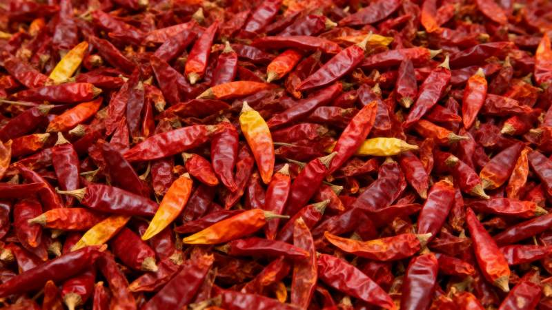 红辣椒堆满画面图片