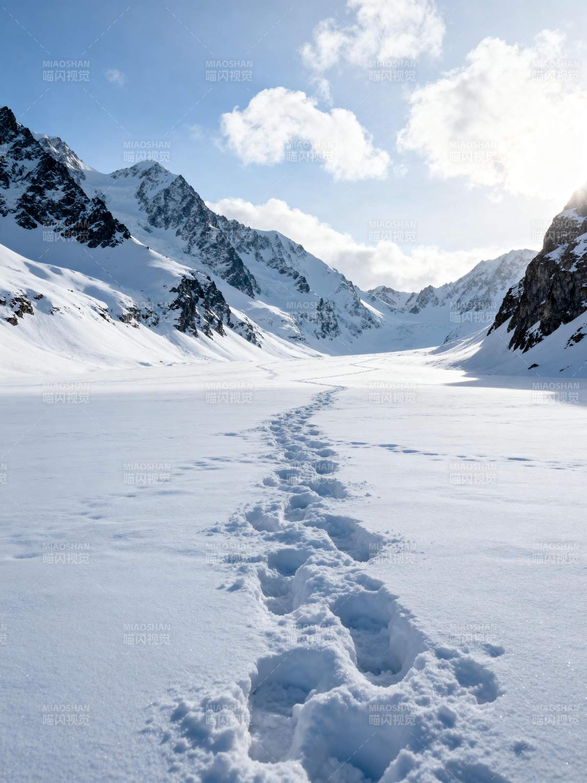 雪原足迹图片
