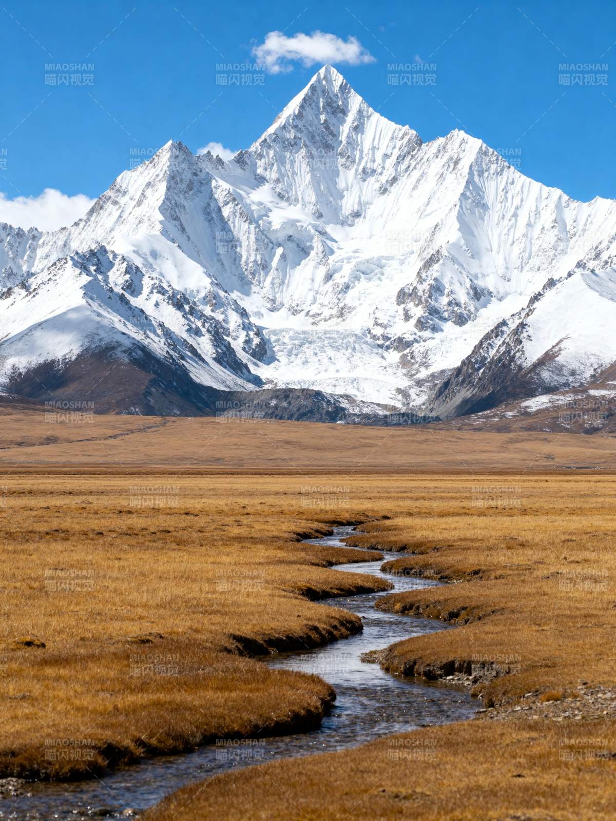 雪山草原溪流图片