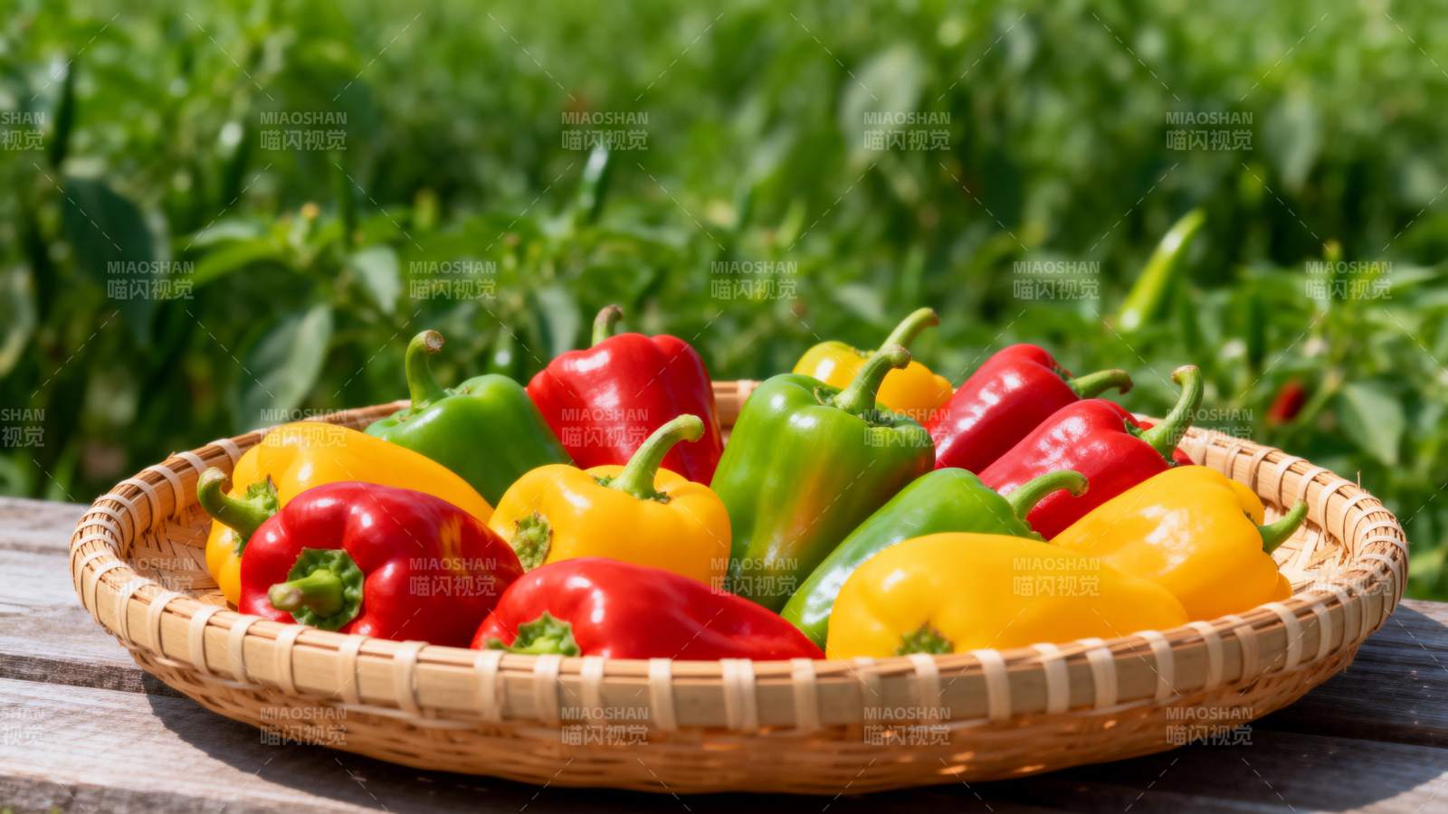 彩椒丰收图图片