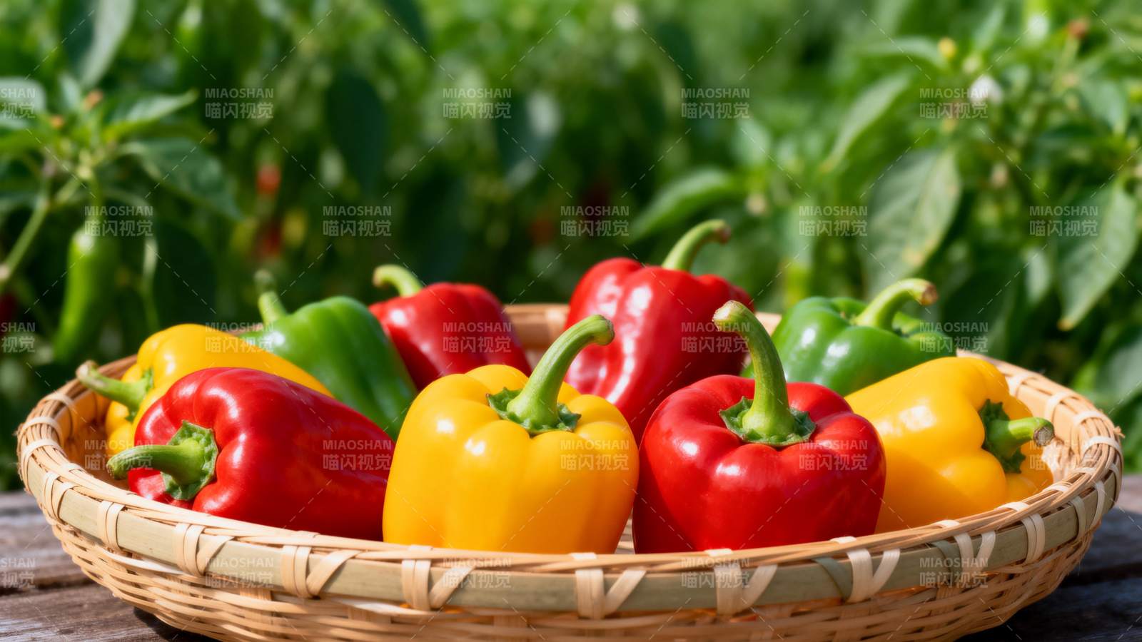 五彩椒篮图片