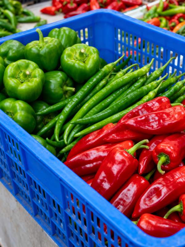 新鲜彩椒满篮图片